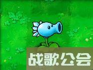 植物大战僵尸49个植物介绍是什么