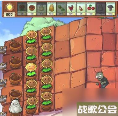 植物大战僵尸跳跳僵尸那关怎么过 