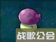 植物大战僵尸49个植物介绍是什么