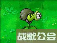 植物大战僵尸的所有植物的名称是什么