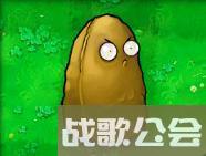 植物大战僵尸49个植物介绍是什么