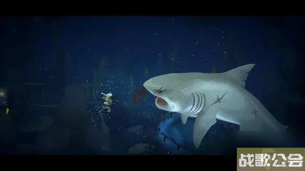 潜水员戴夫三星鲨鱼怎么弄潜水员戴夫三星鲨鱼抓取攻略
