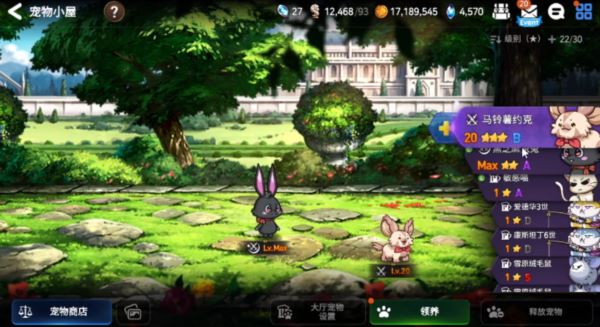 第七史诗宠物技能怎么搭配 宠物技能效果推荐介绍 第七史诗宠物技能怎么搭配 宠物技能效果推荐介绍