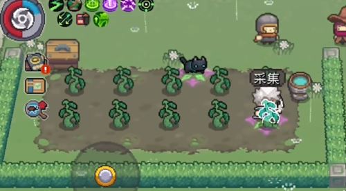 元气骑士前传种植什么时候成熟