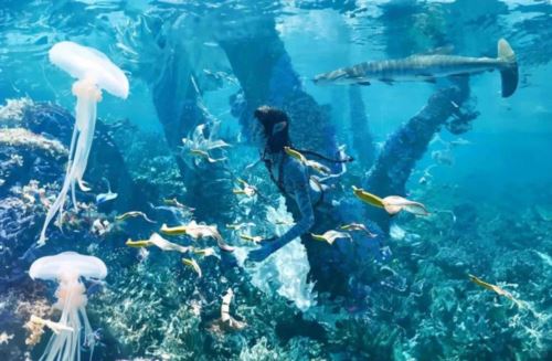 中国手游折服西半球最强法务部 今年最科幻的故事