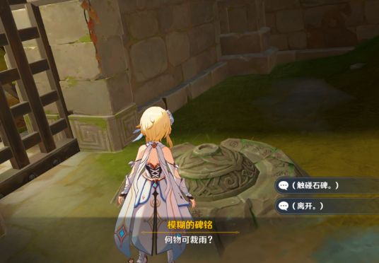 原神秘谷侠隐任务流程攻略