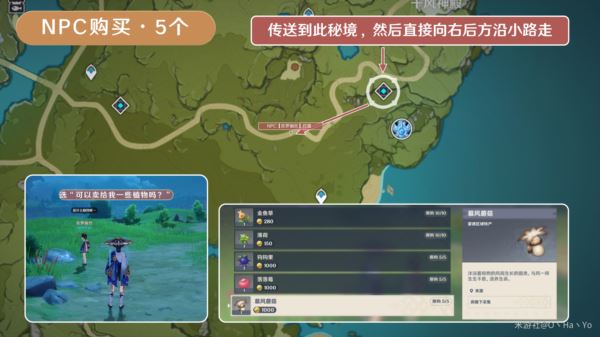 原神慕风蘑菇在哪里获得 慕风蘑菇分布图采集路线