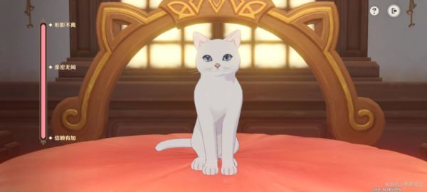 原神茸茸城堡大喵险第一天怎么过 通关方法分享