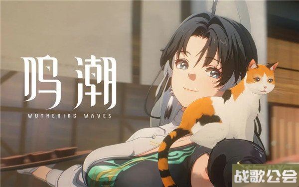 鸣潮呼啸重音怎么样 属性效果一览