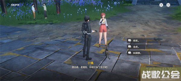 鸣潮拯救世界拯救猫咪任务流程一览