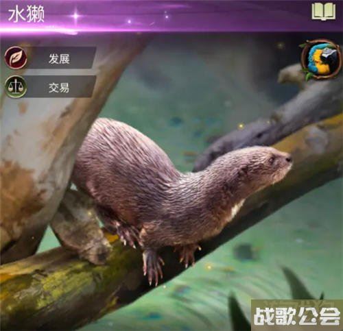 野兽领主新世界松鼠营地攻略 领地的移动资源库