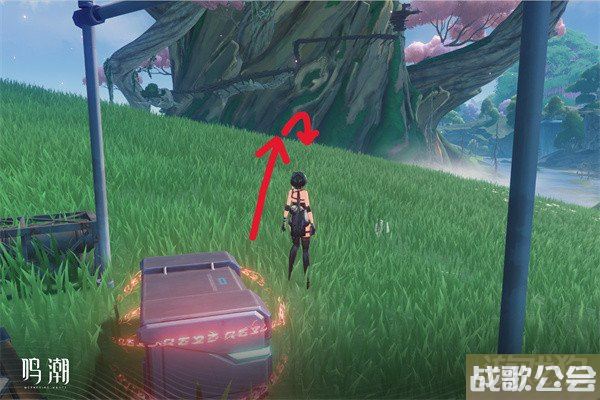 鸣潮无光之森生态调查攻略 图文攻略分享 鸣潮无光之森生态调查攻略 图文攻略分享