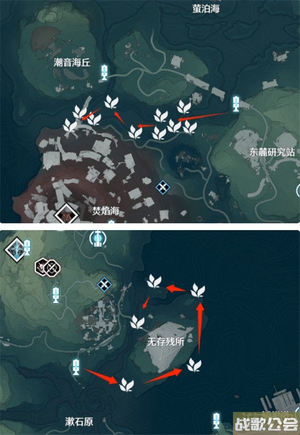 鸣潮鸳鸯花木莲采集路线一览 详细位置介绍