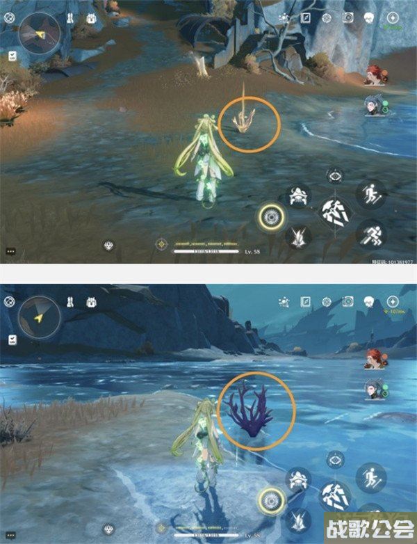 鸣潮紫珊瑚采集位置大全 采集路线一览