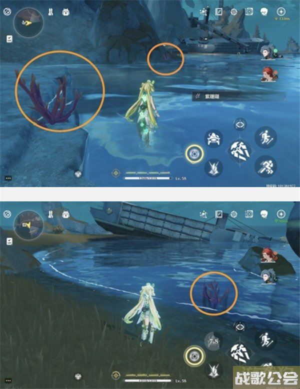 鸣潮紫珊瑚采集位置大全 采集路线一览