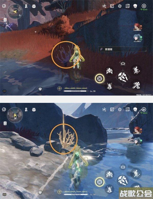 鸣潮紫珊瑚采集位置大全 采集路线一览