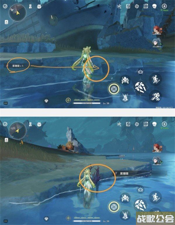 鸣潮紫珊瑚采集位置大全 采集路线一览