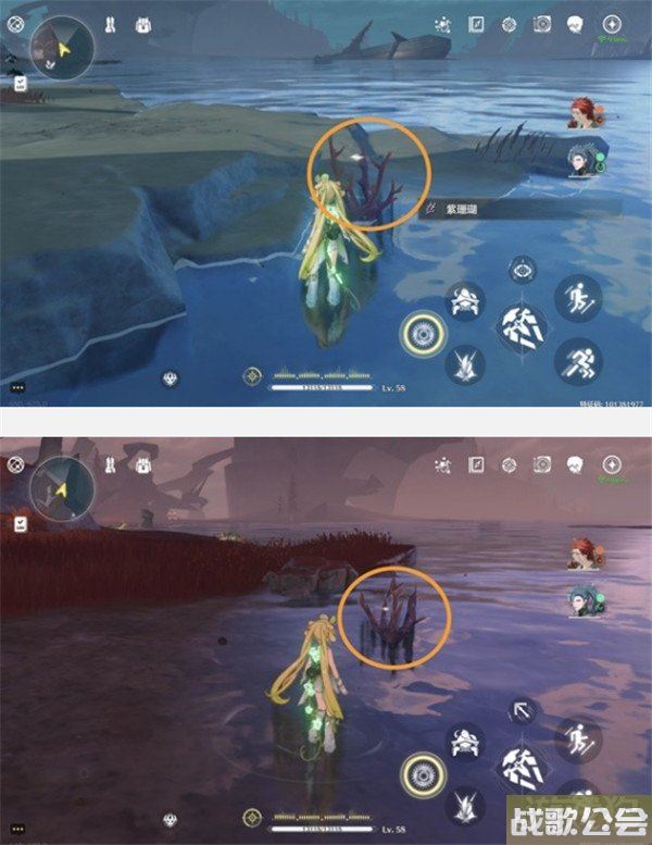 鸣潮紫珊瑚采集位置大全 采集路线一览