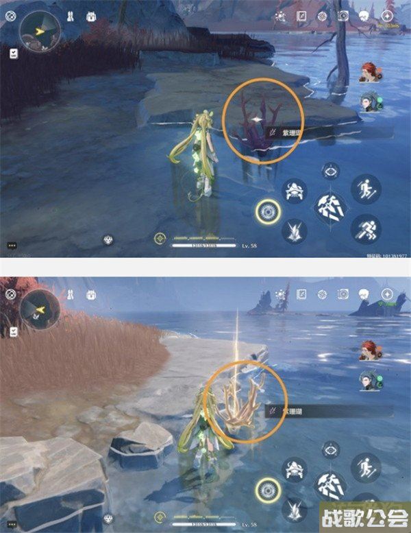 鸣潮紫珊瑚采集位置大全 采集路线一览