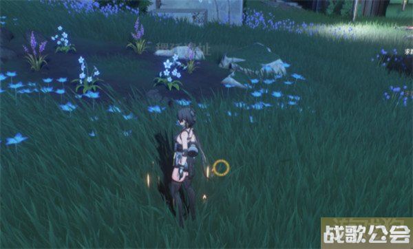 鸣潮稷延遗址隐藏宝箱位置大全 宝箱怎么获得