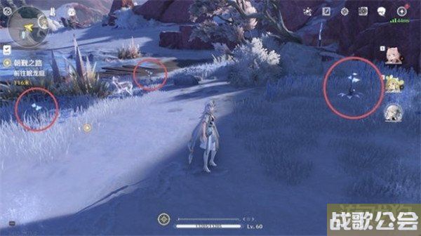 鸣潮龙吐珠采集位置一览 详细位置分享