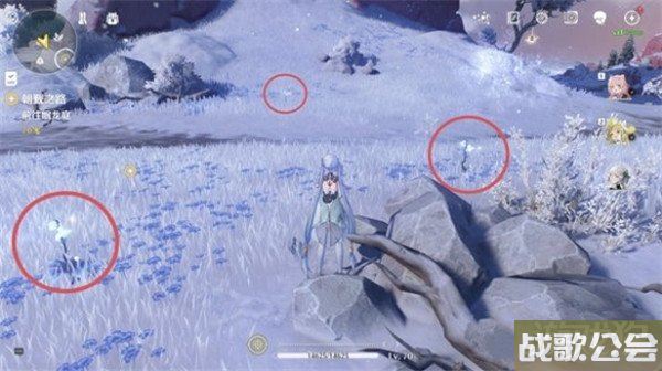 鸣潮龙吐珠采集位置一览 详细位置分享