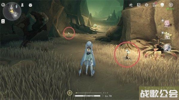 鸣潮龙吐珠采集位置一览 详细位置分享