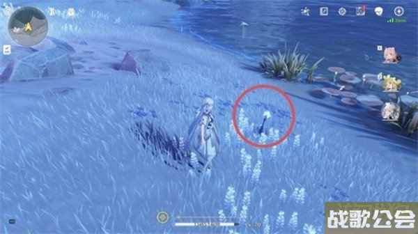 鸣潮龙吐珠采集位置一览 详细位置分享