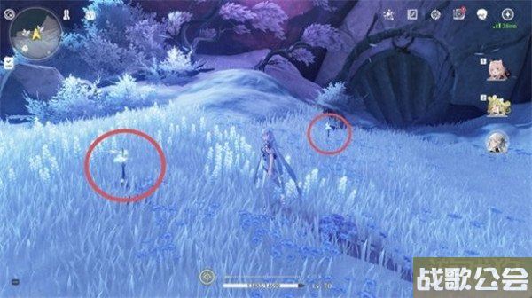 鸣潮龙吐珠采集位置一览 详细位置分享