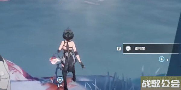 鸣潮温泉大冒险任务怎么做 采集雀翎果