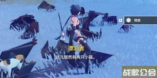 鸣潮帮小棠找猫任务攻略 任务完成方式分享 鸣潮帮小棠找猫任务攻略 任务完成方式分享