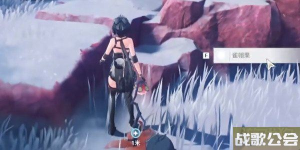 鸣潮温泉大冒险任务怎么做 采集雀翎果