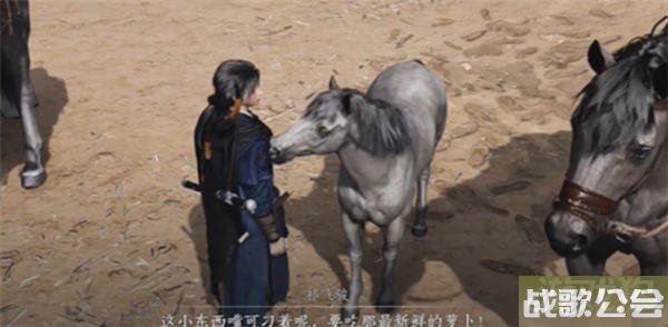 燕云十六声祁氏家驯任务流程攻略介绍 燕云十六声祁氏家驯任务流程攻略介绍