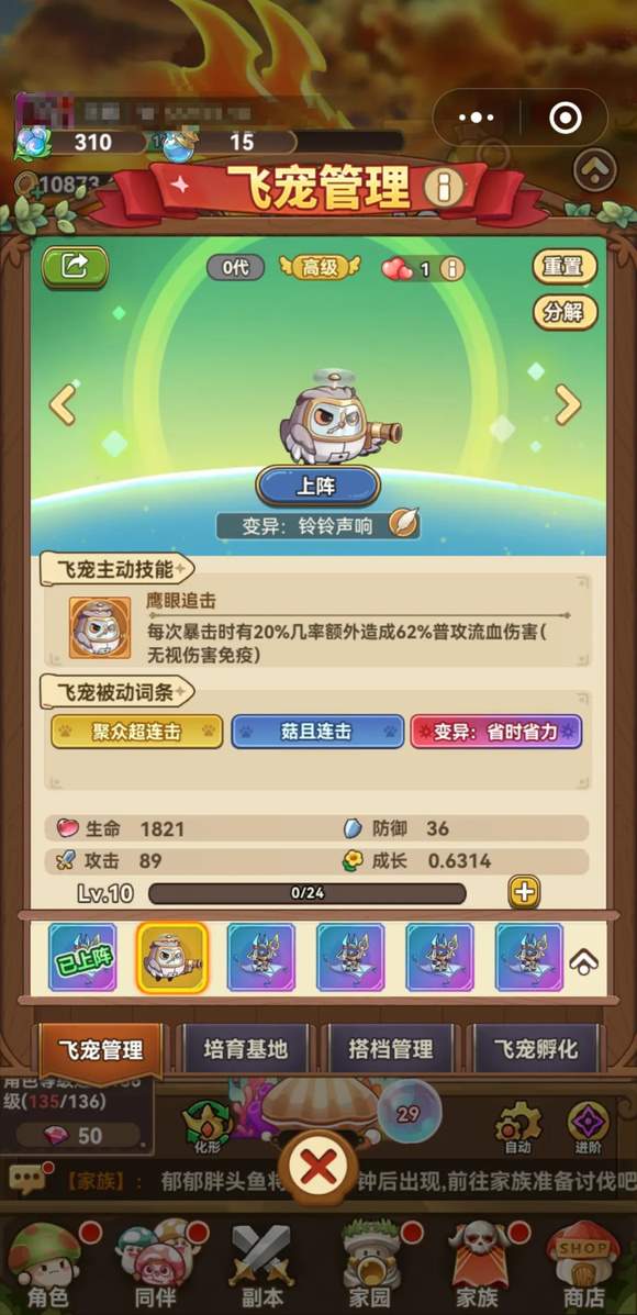 冒险大作战飞宠专属被动词条如何获得