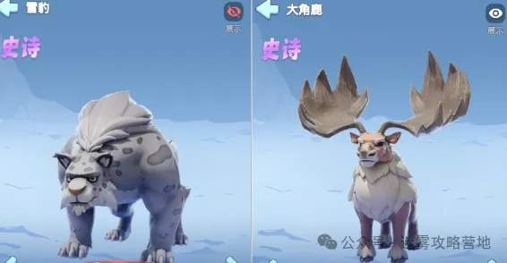 无尽冬日五代宠物培养攻略大全