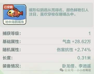 小小英雄刀主选刀神还是刀狂