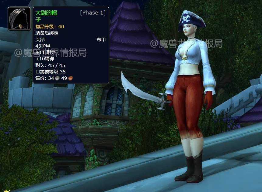 魔兽世界WLK怀旧服最贵幻化用装备一览