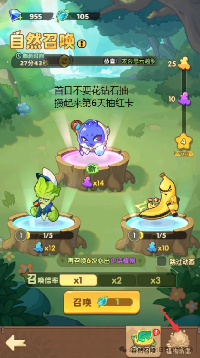 保卫向日葵新区起号完整流程攻略