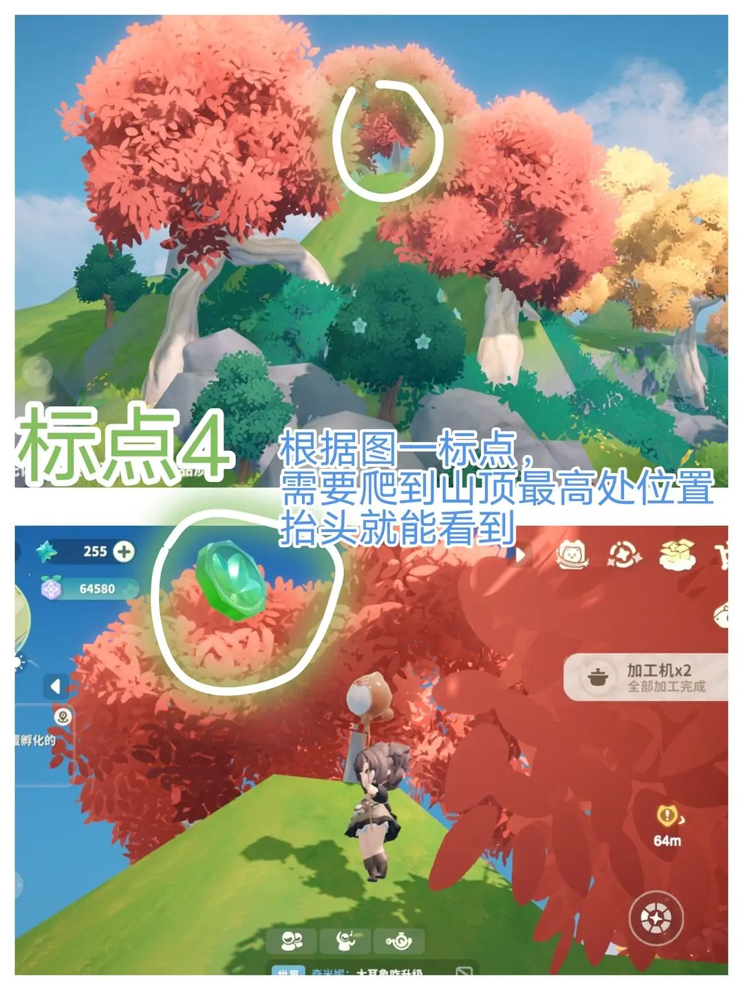 米姆米姆哈苍翠币收集位置攻略大全