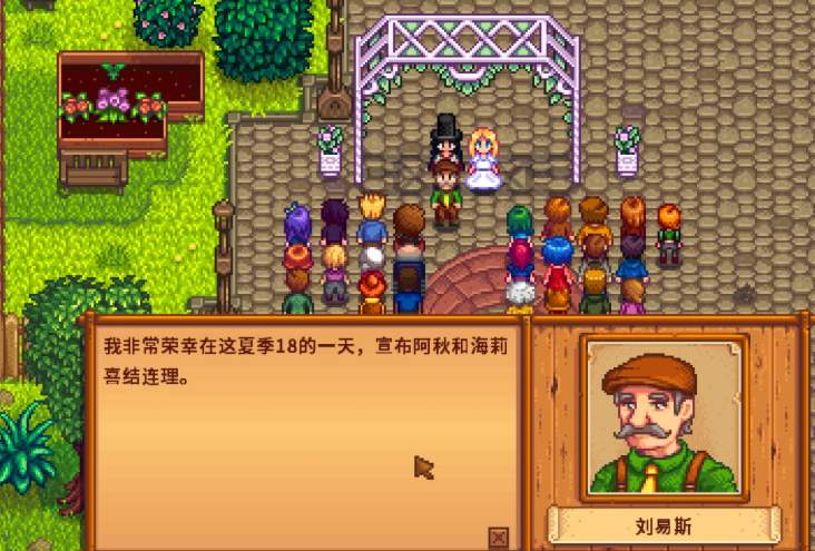 星露谷物语十星怎么结婚