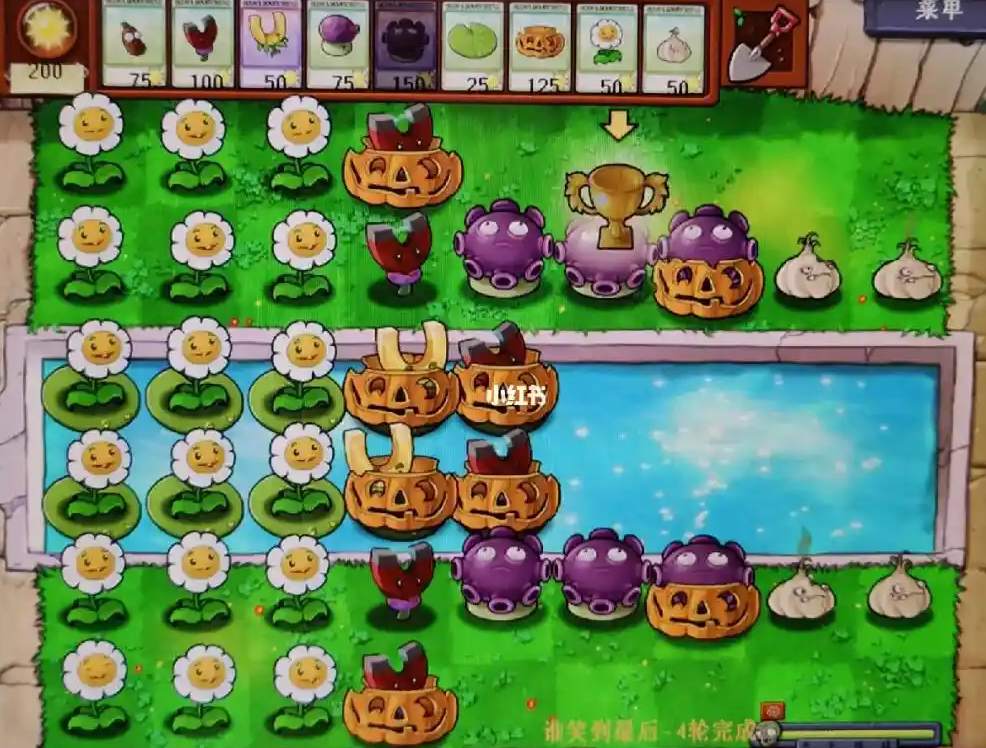 植物大战僵尸谁笑到最后在哪一关