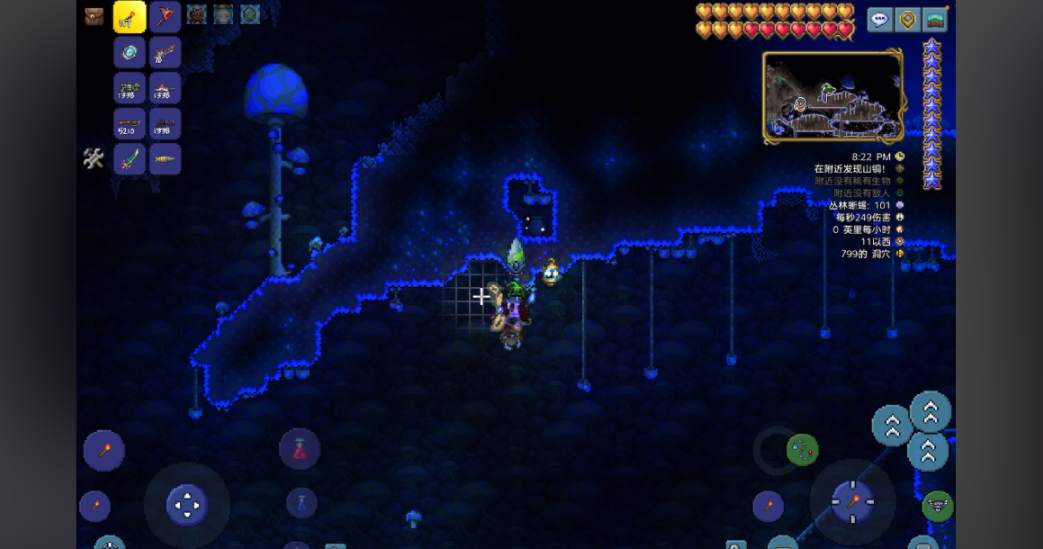 泰拉瑞亚怎么抓东西