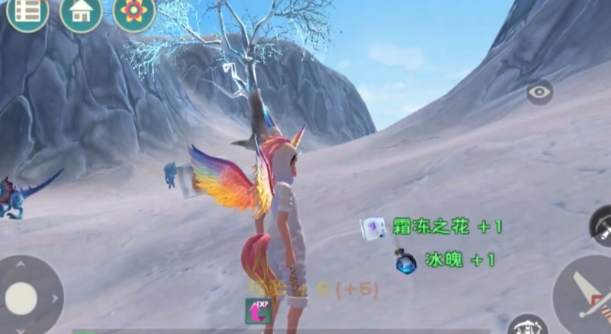 创造与魔法冰魄在哪里获得