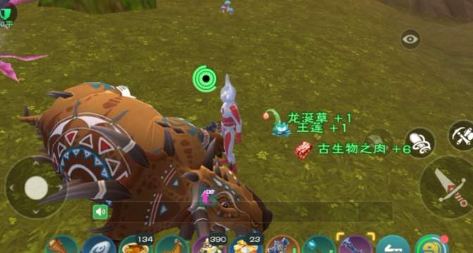 创造与魔法冰魄在哪里获得