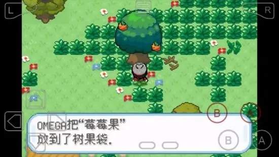 请问口袋妖怪火红百变怪在什么地方抓