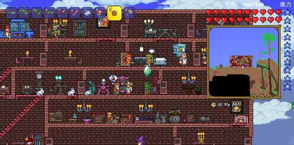 怎样才能在泰拉瑞亚游戏中捕捉到飞龙