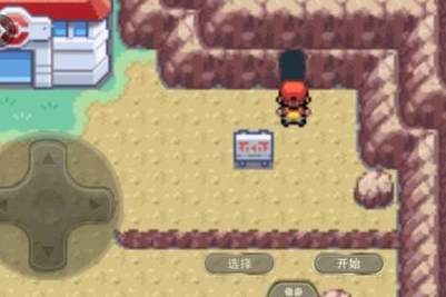 口袋妖怪火红火焰鸟的技能怎样进行合理搭配