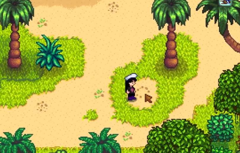 星露谷物语中人人都喜欢的物品有哪些